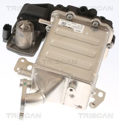 TRISCAN Βαλβίδα AGR 8813 29005 8813 29005 Βαλβιδα καυσαεριων Volkswagen SCIROCCO TRISCAN