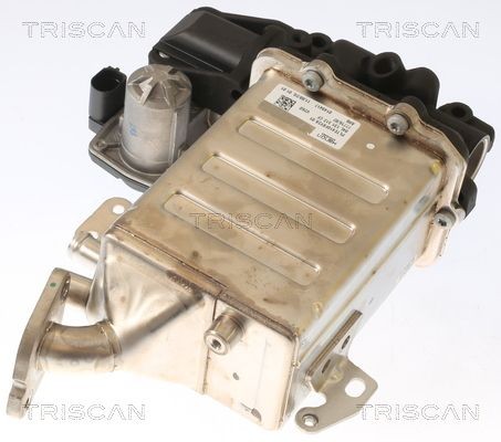 TRISCAN Venttiili, pakokaasun kierrätys 8813 29006 8813 29006 TRISCAN Egr venttiili VW CC