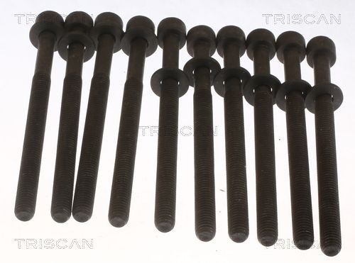 TRISCAN Cilindru galvas skrūvju komplekts 98-1020 Cilindru galvas skrūvju komplekts TRISCAN XCEED 98-1020 lēti