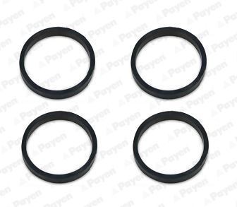 PAYEN Blīve, Ieplūdes kolektors JD6160 Ieplūdes kolektora blīve PAYEN Volkswagen TOUAREG JD6160