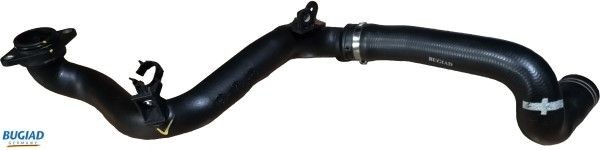 BUGIAD Ladeluftslange 82101 BUGIAD 82101 Fiat Qubo Intercooler slange originale pris