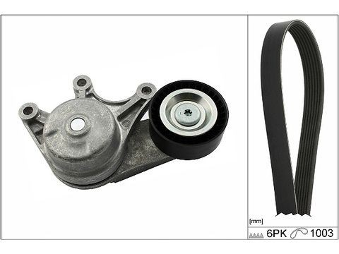 INA Jeu de courroies trapézoïdales à nervures 529 0483 10 INA 529 0483 10 Kit de courroie d'accessoire BMW F25 pas cher