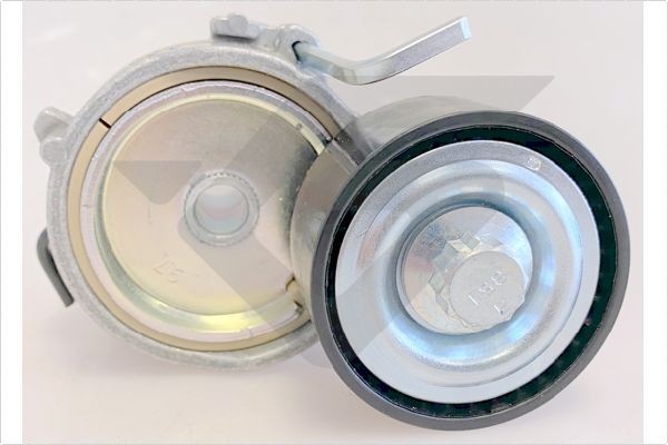 HUTCHINSON Poulie, tendeur de courroie d'accessoire T0699 Poulie de galet tendeur HUTCHINSON BERLINGO T0699 pas cher