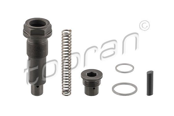 TOPRAN Strammer, styrekjede 408 971 TOPRAN 408971 Strammer styrekjed E-Klasse All-Terrain (X214) pris