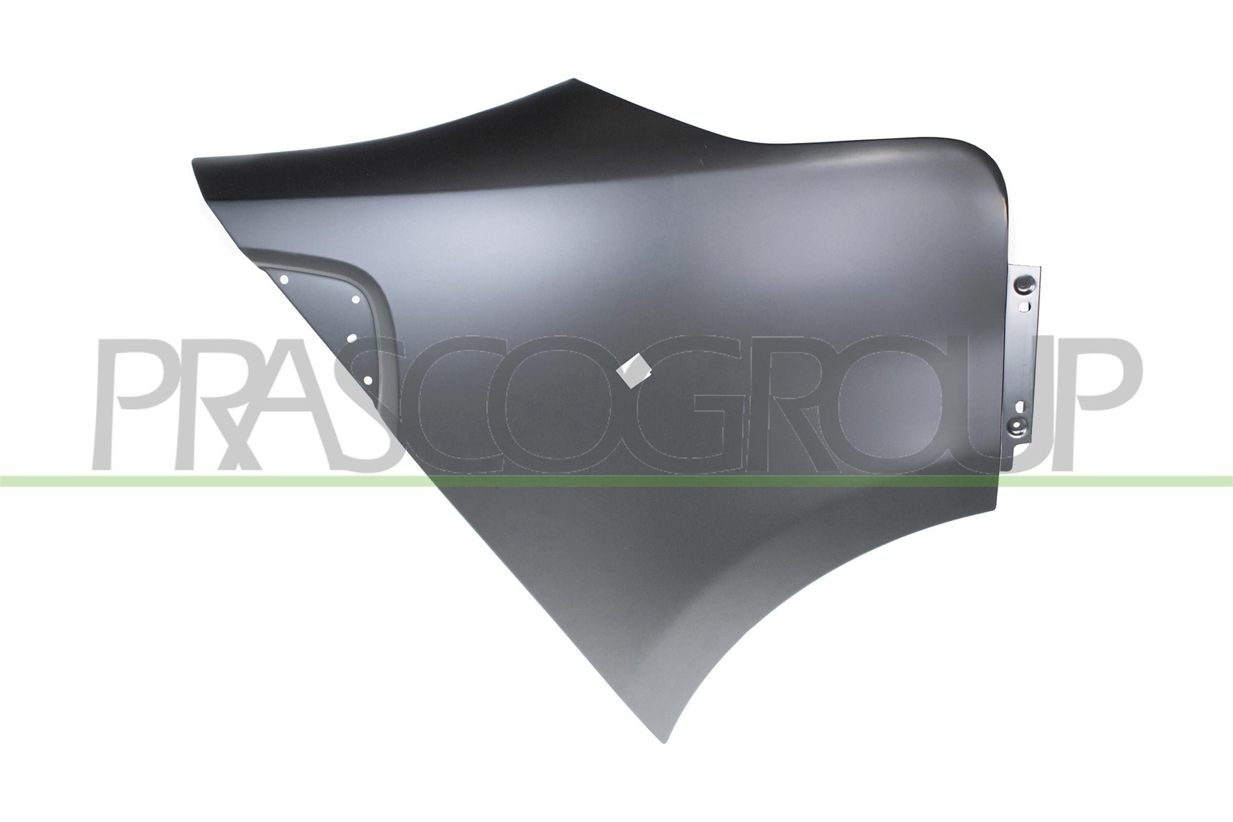 PRASCO Guarda-lamas FT9003013 Guarda-lamas PRASCO Fiat TIPO FT9003013