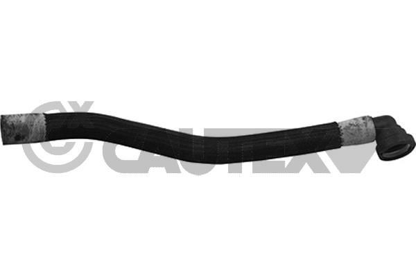 CAUTEX Schlauch, Zylinderkopfhaubenentlüftung 764621 764621 Kurbelgehäuseentlüftung CITROËN C3 CAUTEX kaufen