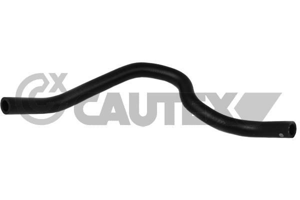 CAUTEX Flessibile radiatore 765102 765102 costo Tubi radiatore CAUTEX RENAULT LAGUNA
