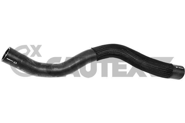CAUTEX Flessibile radiatore 765255 765255 costo Tubi radiatore CAUTEX RENAULT LAGUNA