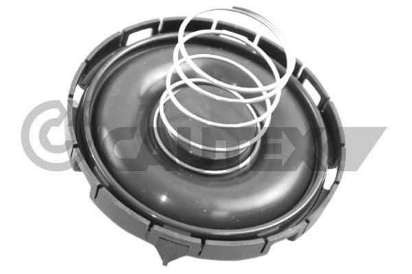 CAUTEX Ventil odvetrania kľukovej skrine 766740 Hadica odvetrania kľukovej skrine CAUTEX Dacia DUSTER 766740