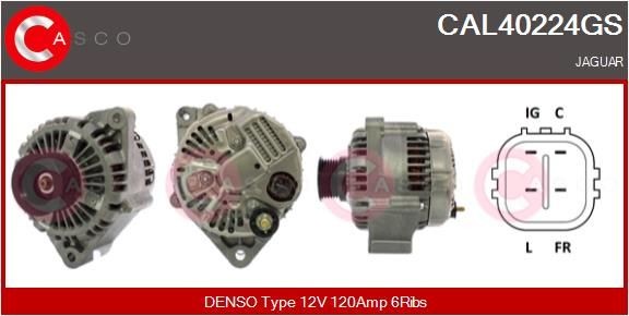 CASCO Generator CAL40224GS CAL40224GS CASCO dynamo Jaguar XK