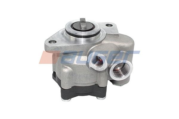 AUGER Servopumpe 97246 97246 AUGER Servopumpe Tesla billige