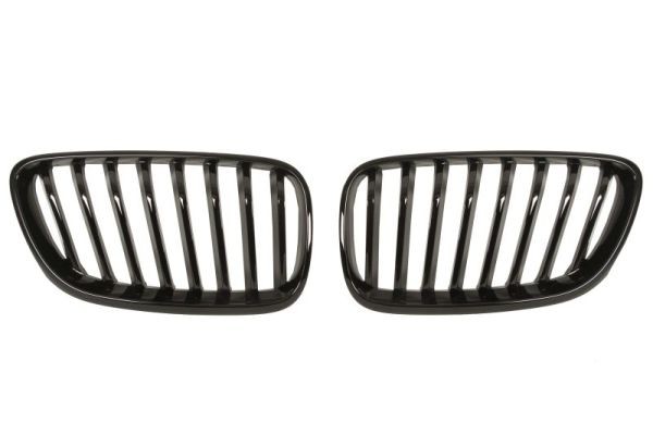 BLIC Radiator grill 6502-07-0069993P BLIC 6502-07-0069993P Radiator grill