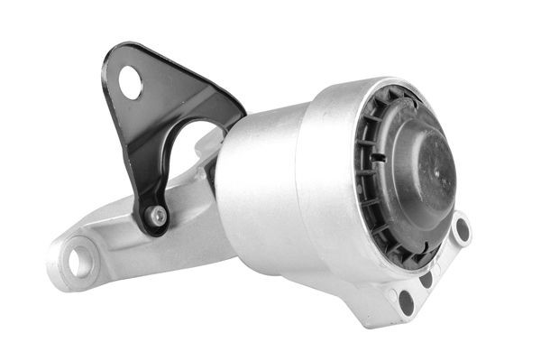 TEDGUM Piekare, Dzinējs TED80961 TEDGUM TED80961 Motora spilvens Volvo XC60 I cena