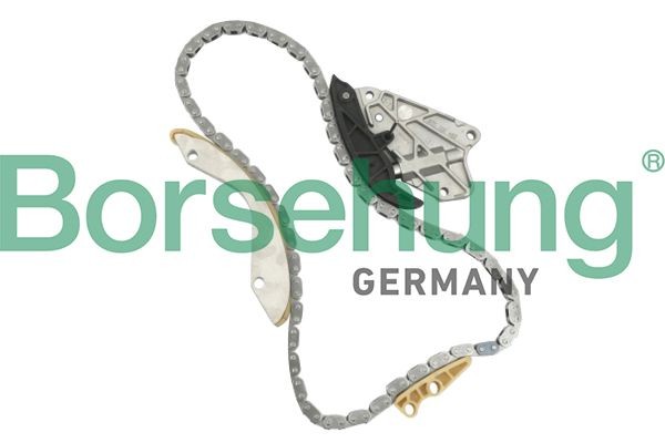 Borsehung Mootori keti komplekt B10206 Juhtkett Borsehung Audi A8 B10206