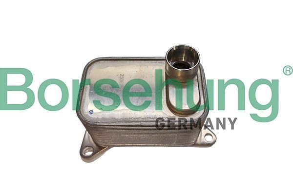 Borsehung Oljekjøler, motorolje B10877 Oljekjøler Borsehung SANTA FE B10877 billige