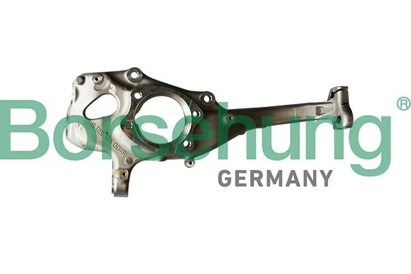 Borsehung Achsschenkel B12109 B12109 Borsehung Radlagergehäuse KIA SPORTAGE vorne und hinten kaufen