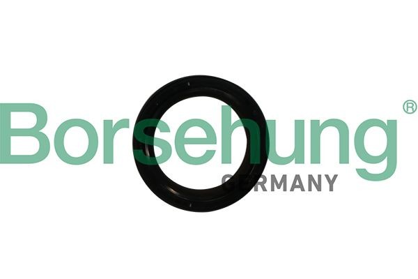 Tesniaci krúżok kľukového hriadeľa Borsehung B12179 Borsehung B12179: Tesniaci krúżok kľukového hriadeľa Škoda FABIA 2022