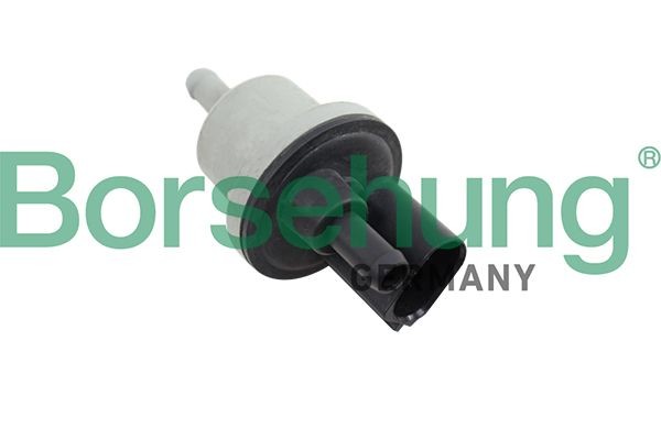 Borsehung Βαλβίδα, φίλτρο ενεργού άνθρακα B12188 B12188 Βαλβίδα εξαερισμού, ρεζερβουάρ καυσίμων MERCEDES-BENZ M-class Borsehung