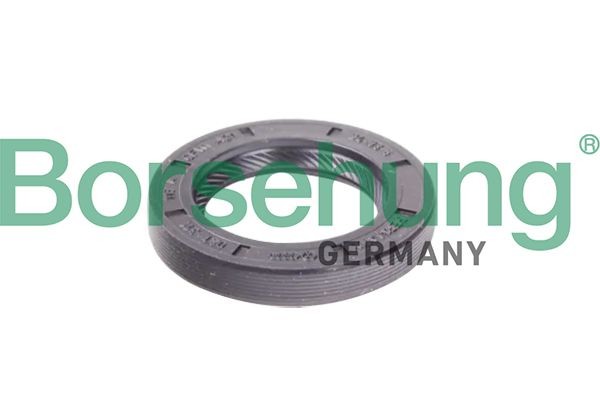 Borsehung Wellendichtring, Schaltgetriebe B12191 Wellendichtring, Getriebe Borsehung MODEL X B12191 günstig