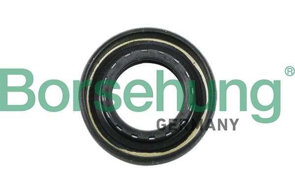 Borsehung Wellendichtring, Schaltgetriebe B12194 B12194 Wellendichtring, Getriebe TESLA MODEL X Borsehung kaufen
