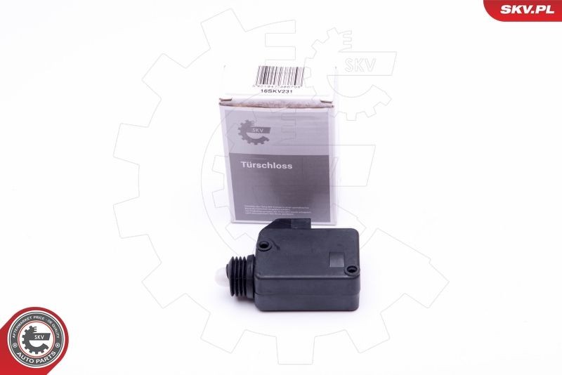 ESEN SKV Control, central locking system 16SKV231 ESEN SKV 16SKV231 Control, central locking system - Peugeot 206 Hatchback doors parts