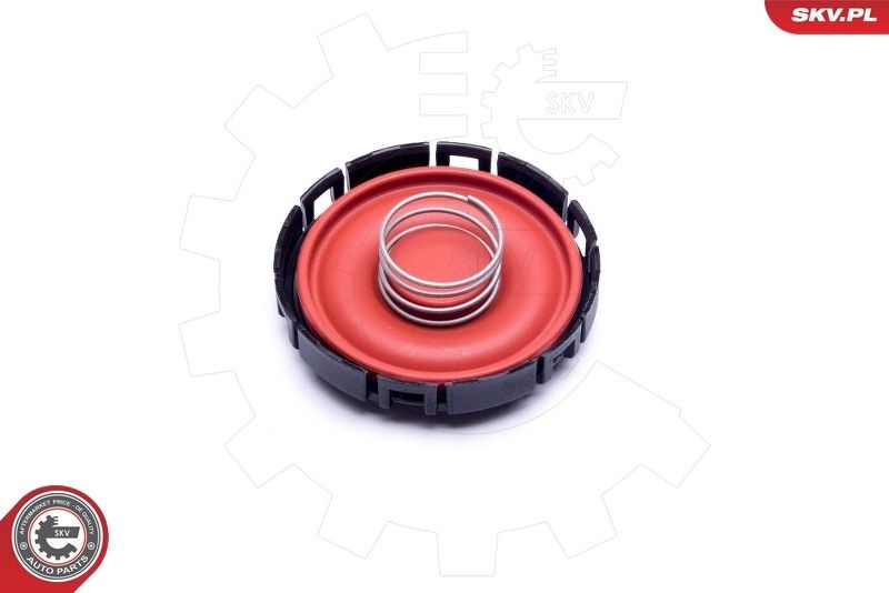 Μεμβράνη, εξαερισμός μπλοκ κινητήρα ESEN SKV 31SKV142 ESEN SKV 31SKV142 Βαλβίδα αναθυμιάσεων BMW Z4 2013