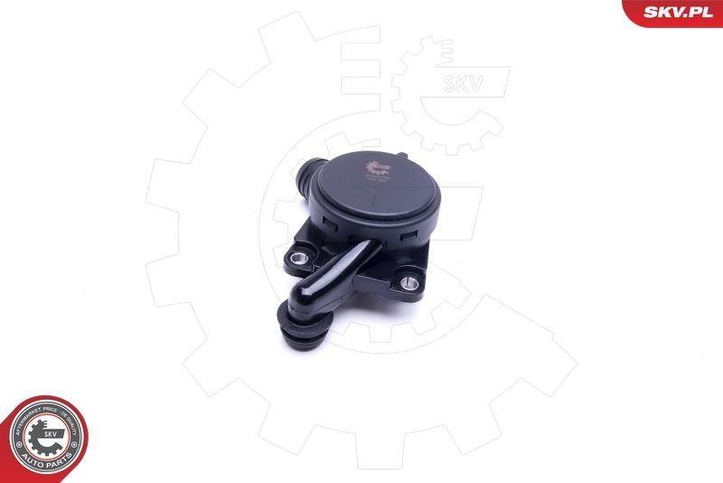 ESEN SKV Ventil, krumtaphusudlufting 31SKV156 PCV ESEN SKV Renault TWINGO 31SKV156