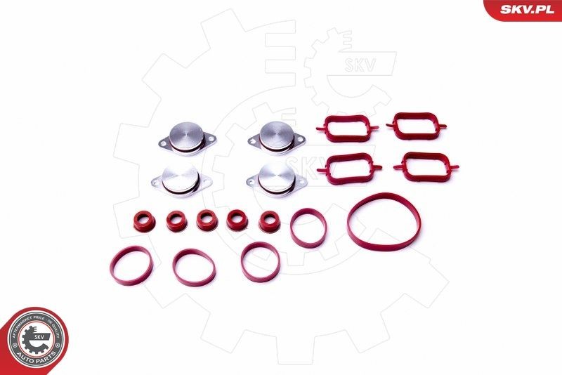 ESEN SKV Pakkingsset, inlaatspruitstuk 96SKV053 Mercedes-Benz SL Inlaatspruitstuk pakking ESEN SKV 96SKV053