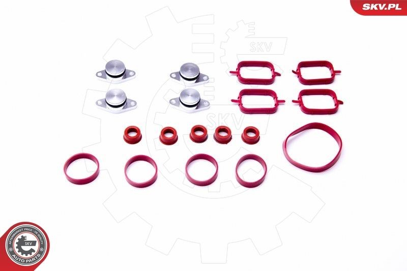 ESEN SKV Tihendikomplekt, Sisselaskekollektor 96SKV054 96SKV054 Sisselaskekollektori tihend NISSAN NV200 ESEN SKV