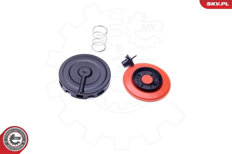 ESEN SKV Olieudskiller, udluftning af krumtaphus 96SKV056 96SKV056 Krumtapsudluftning RENAULT TWINGO ESEN SKV
