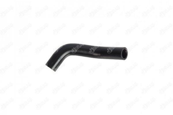 IBRAS Flessibile radiatore 19573 19573 costo Tubi radiatore FORD GALAXY IBRAS