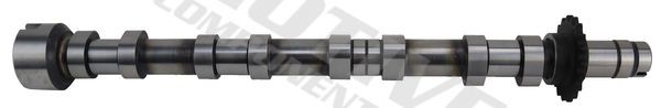 motive Sadales vārpsta T4433 motive T4433 Sadales vārpsta Carlton Mk3 Universālis (V87) cena