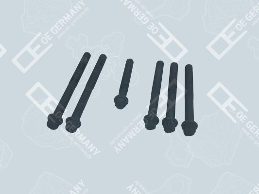 OE Germany Jogo de parafusos da cabeça do motor 02 0121 286609 OE Germany Parafuso da cabeça do motor 02 0121 286609 opinião