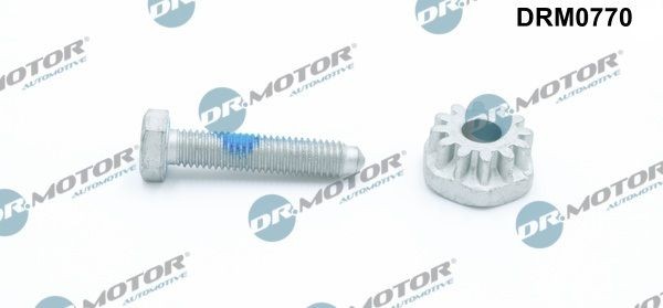 DR.MOTOR AUTOMOTIVE Spennskrue, dynamoholder DRM0770 DR.MOTOR AUTOMOTIVE DRM0770 Reparasjonssett Golf 3