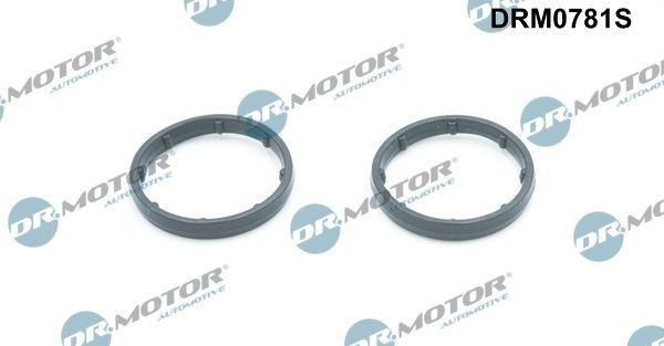 DR.MOTOR AUTOMOTIVE Tetning, oljekjøler DRM0781S DRM0781S Tetning oljekjøler DR.MOTOR AUTOMOTIVE FIAT SEICENTO