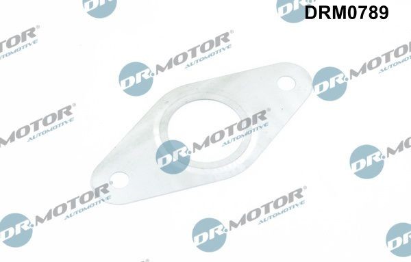 DR.MOTOR AUTOMOTIVE Sada tesnení, AGR-System DRM0789 Tesnenie, agr-ventil DR.MOTOR AUTOMOTIVE Volkswagen POLO DRM0789