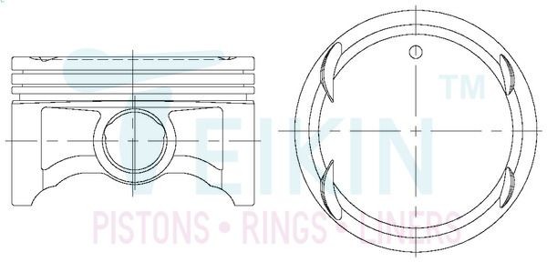 TEIKIN Kolbensatz 43696.STD 43696.STD TEIKIN Motor Kolben DAEWOO Kosten