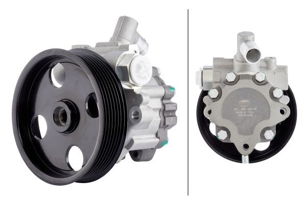 HELLA Servopumpe 8TL 359 000-401 Hydraulikpumpe HELLA Seat LEON 8TL 359 000-401