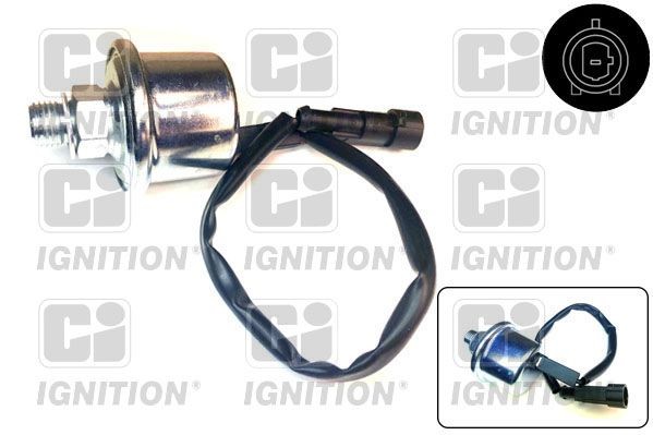 Capteur, pression d'huile QUINTON HAZELL XOPT15 QUINTON HAZELL XOPT15: Manocontact de pression d'huile Fiat 124 2019