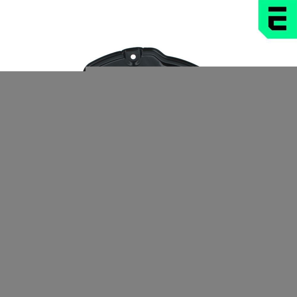 OPTIMAL Stænkskærm, bremseskive BSP-4025L OPTIMAL BSP-4025L Fortwo II Cabriolet (451) Stænkskærm pris