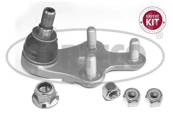CORTECO Balst- / Virzošais šarnīrs 49469609 CORTECO 49469609 Lodbalsts Citroen C4 Grand Picasso MK2 cena