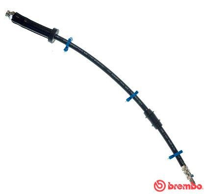 BREMBO Remslang T 61 066 Citroën XSARA Remslangen BREMBO Essential T 61 066
