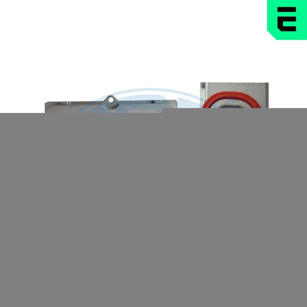 ERA Styreenhed, belysning 661398 ERA 661398 Renault Koleos 1 Styreenhed, belysning pris