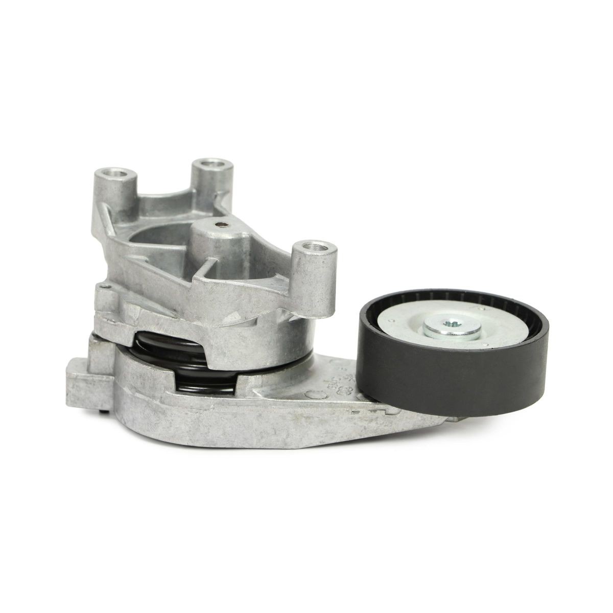 MASTER-SPORT Rolo tensor, correia trapezoidal estriada N31223-PCS-MS MASTER-SPORT N31223-PCS-MS Rolo tensor Audi TT 8J preço