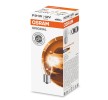 ACCORD III (CA): Lâmpada, pisca de OSRAM