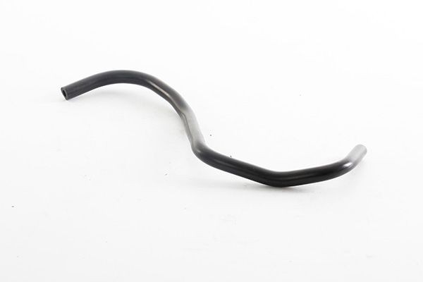 BSG Ελαστικός σωλήνας, αναπνοή καπακιού κυλινδροκεφαλής BSG 65-700-398 Ελαστικός σωλήνας, αναπνοή καπακιού κυλινδροκεφαλής PEUGEOT BSG BSG 65-700-398