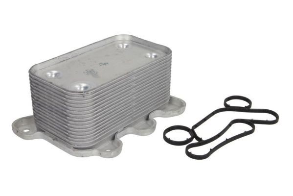 THERMOTEC Radiador de óleo, óleo do motor D4M014TT THERMOTEC D4M014TT Radiador de óleo do motor ML W163 preço