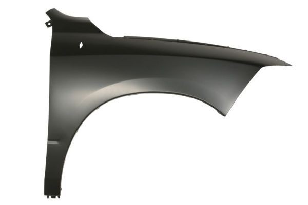 BLIC Guarda-lamas 6504-04-0935312P BLIC 6504-04-0935312P originais Guarda-lamas RAM 1500 II Crew Cab Pick-up custo