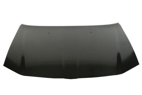 Motorpanser BLIC 6803-00-0939280AP BLIC 6803-00-0939280AP Panser CHRYSLER 300 2016