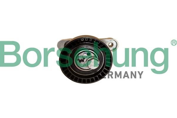 Borsehung Spanrol, poly V-riem B12202 Spanrol Borsehung HYUNDAI B12202